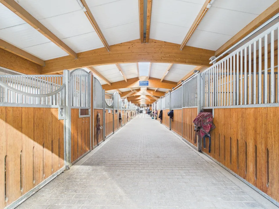 La tua opera di una vita tra sala di equitazione, natura e casa!
