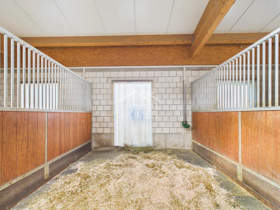 La tua opera di una vita tra sala di equitazione, natura e casa!