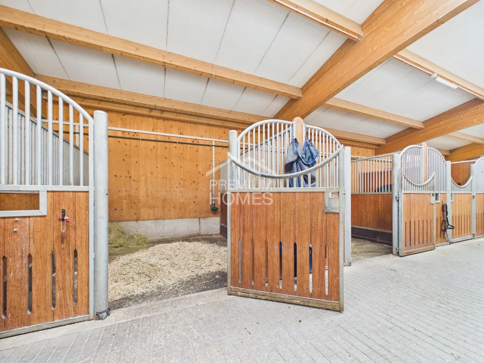 La tua opera di una vita tra sala di equitazione, natura e casa!