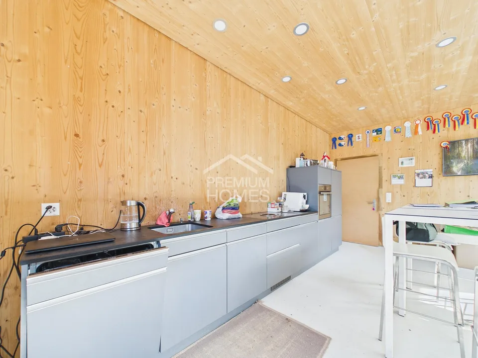 La tua opera di una vita tra sala di equitazione, natura e casa! – foto 7 di 24