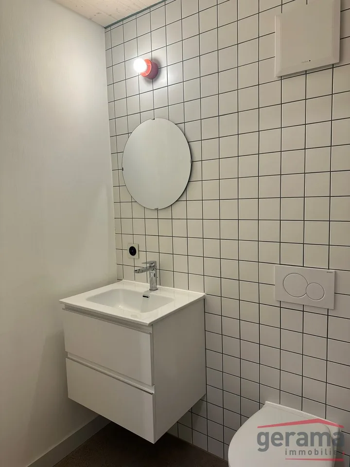 Charmante villa duplex de 3.5 pièces à louer