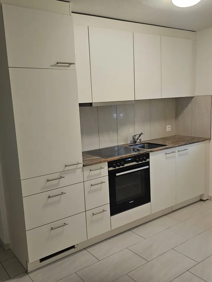 2.5 Room Apartment, 4663 Aarburg