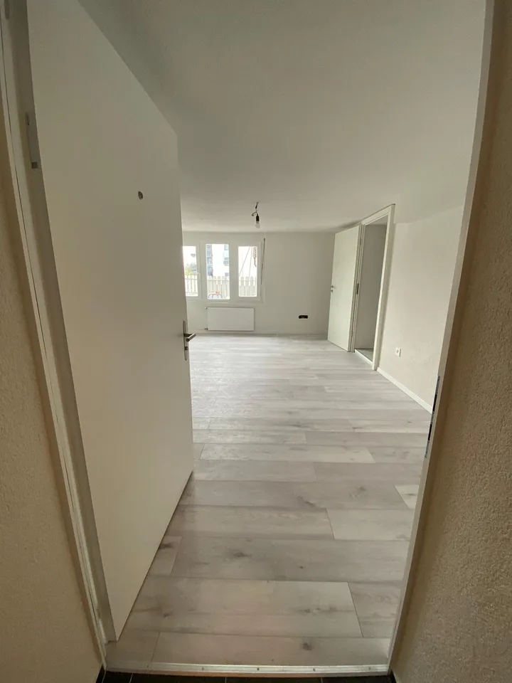 Beautiful studio apartment for rent in Siebnen