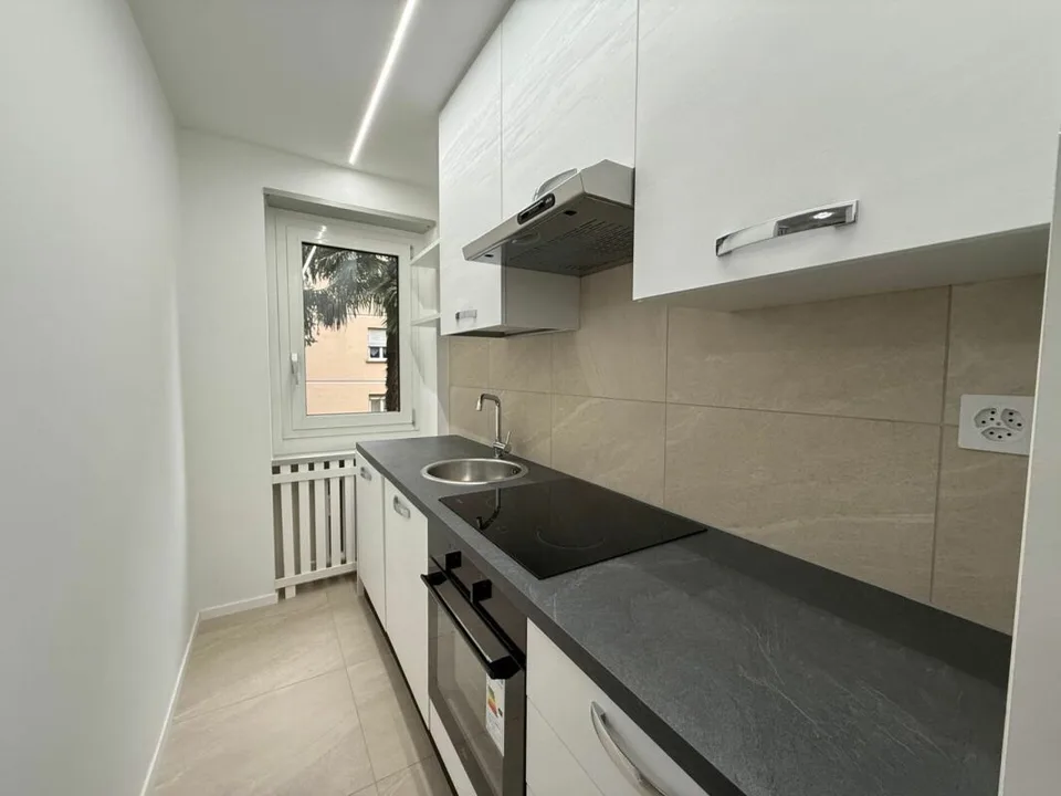 MASSAGNO - 3,5 PIÈCES RÉNOVÉES FINEMENT - JARDIN PRIVÉ