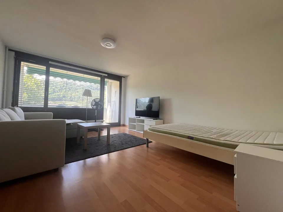 Grosszügige und helle 1-Zimmerwohnung mit Balkon