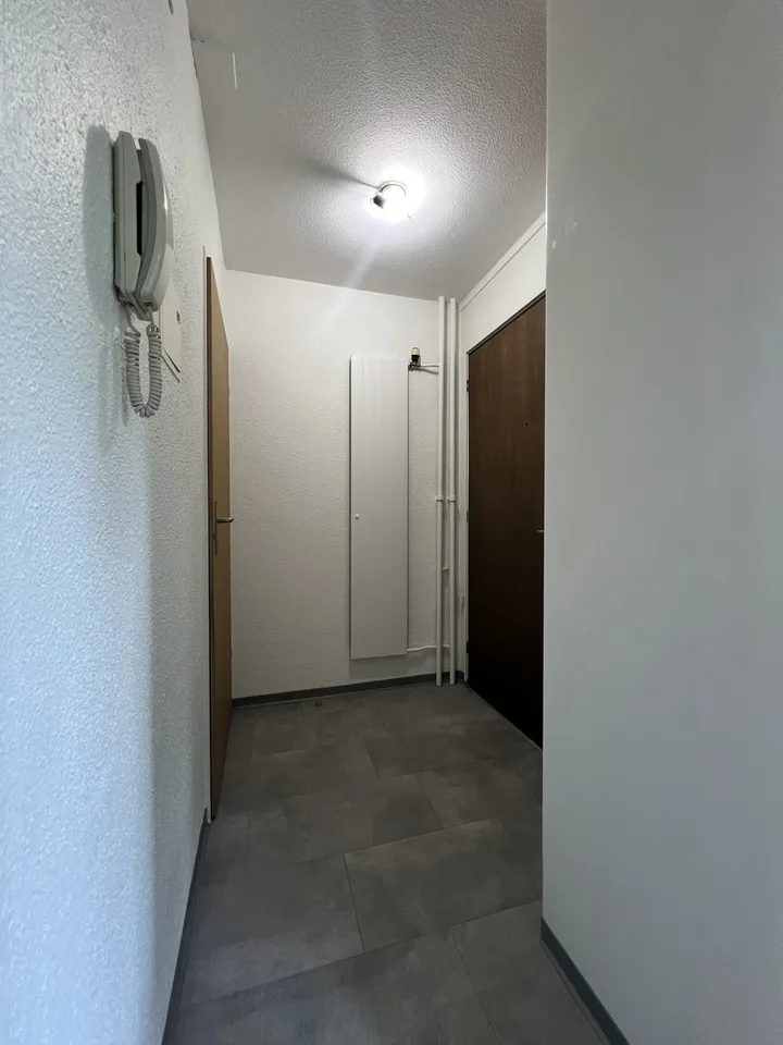 Grosszügige und helle 1-Zimmerwohnung mit Balkon