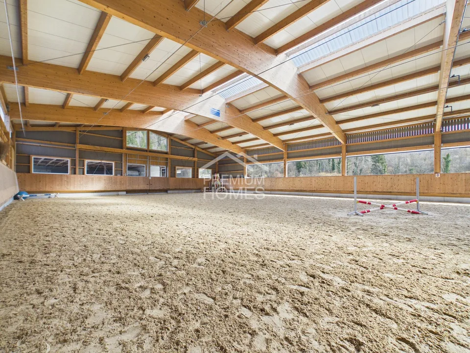 Professionelle Reitanlage mit 24 Boxen, Reithalle und Wohnhaus!