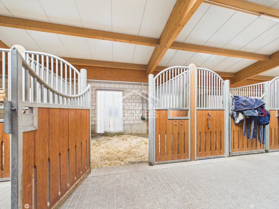 Struttura equestre professionale con 24 box, arena di equitazione e casa residenziale!