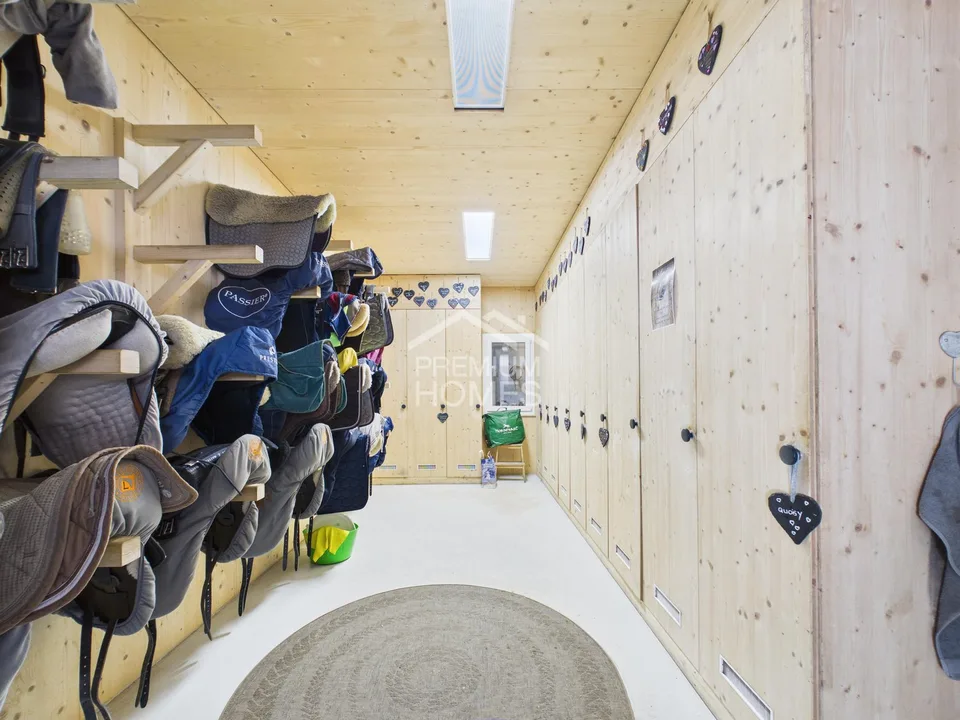 Struttura equestre professionale con 24 box, arena di equitazione e casa residenziale! – foto 10 di 13