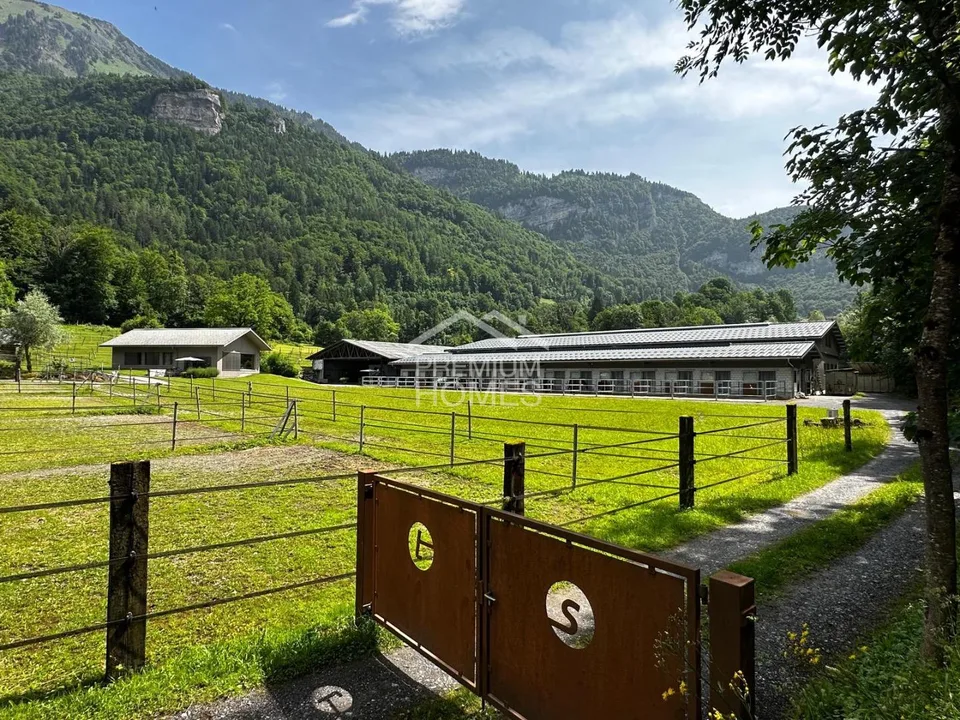 Struttura equestre professionale con 24 box, arena di equitazione e casa residenziale! – foto 11 di 13
