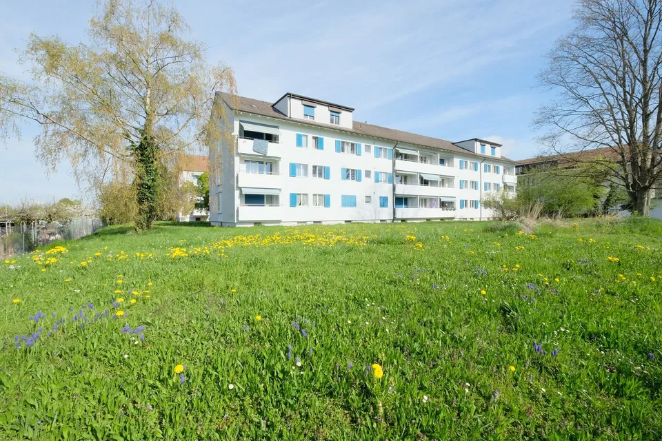 Familienwohnung im Grünen an der Stadtgrenze zu Basel