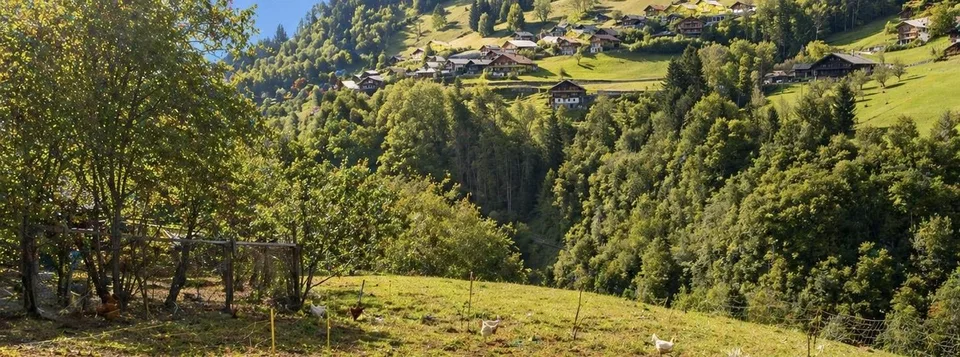 À vendre ? Chalet à rénover avec fort potentiel de développement à Troistorrents | CHF 390'000.?