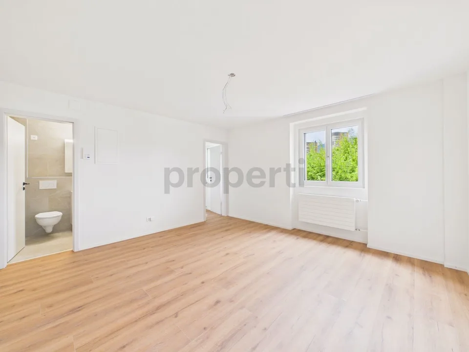 Erstbezug nach Renovation - Moderne 1.5-Zimmer-Wohnung mit Pilatusblick