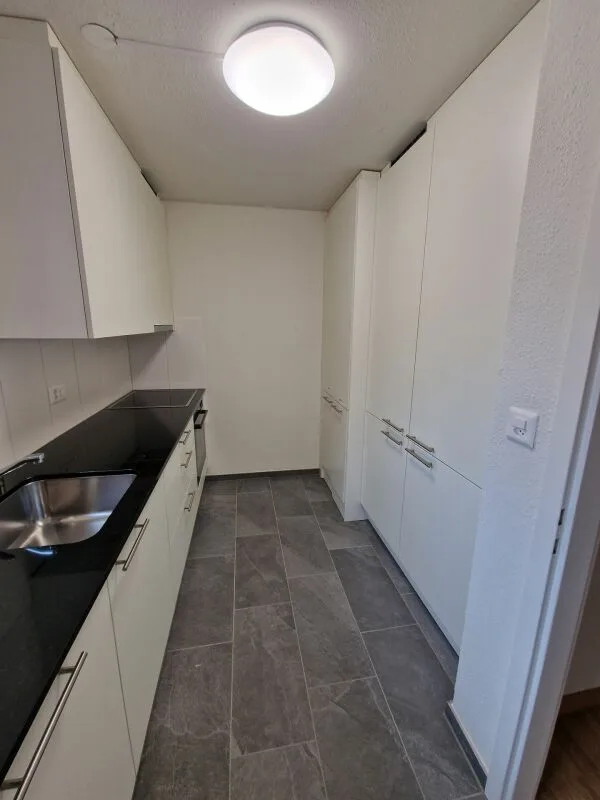 Exclusif ! Appartement rénové de 5,5 pièces 180 m2