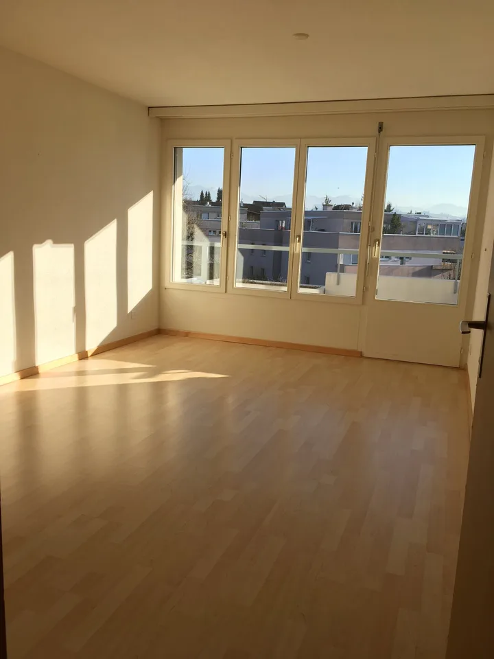 Appartamento luminoso di 4.5 locali con balcone e bella vista a Sursee