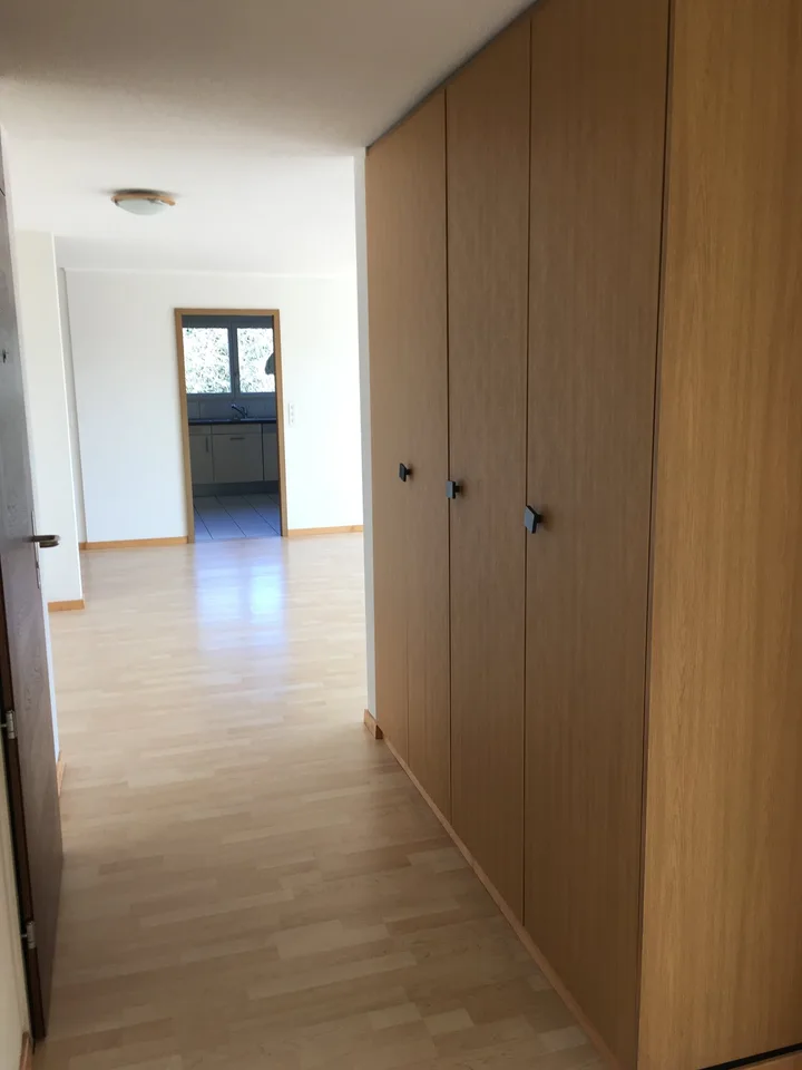 Appartamento luminoso di 4.5 locali con balcone e bella vista a Sursee