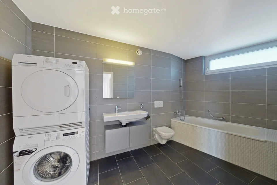 Magnifique penthouse au 6ème étage d'un immeuble de 4,5 .