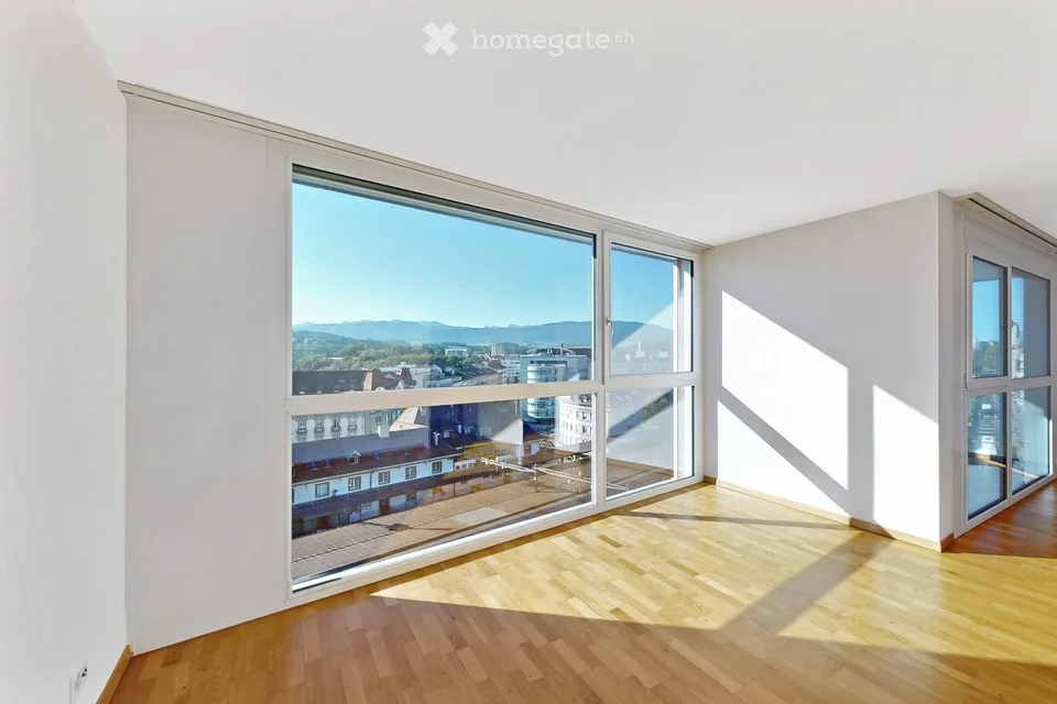 Magnifique penthouse au 6ème étage d'un immeuble de 4,5 .