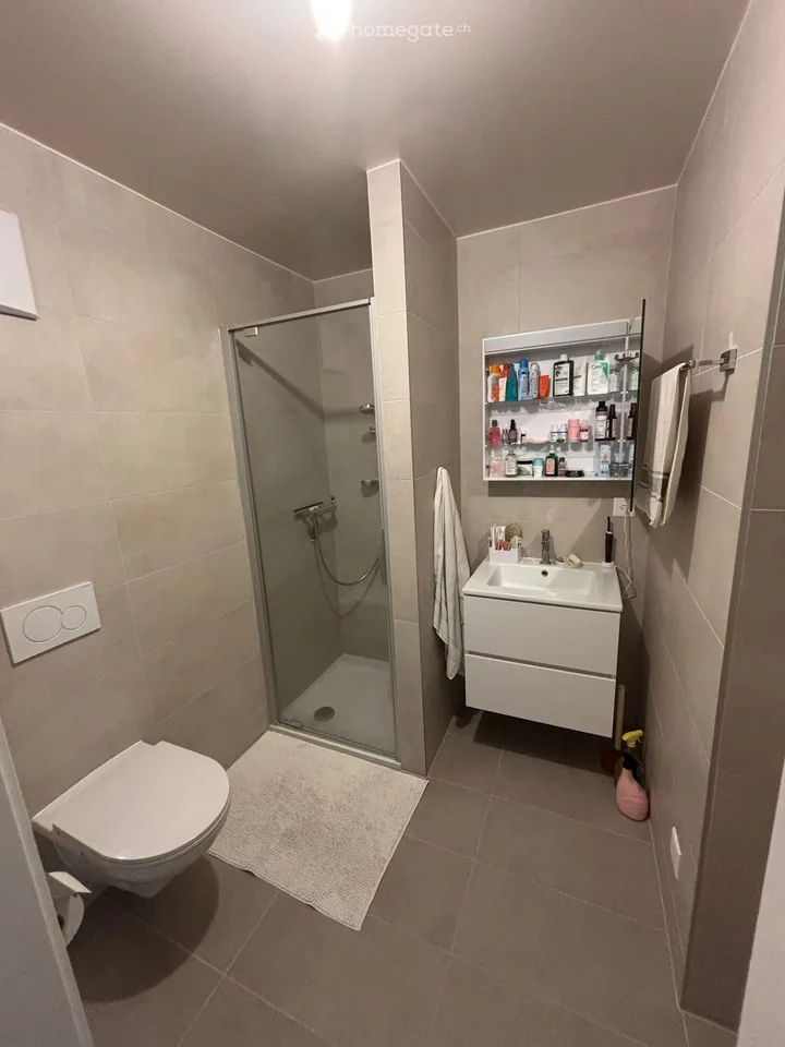Übernahme des Mietvertrags Helles Apartment in Prilly