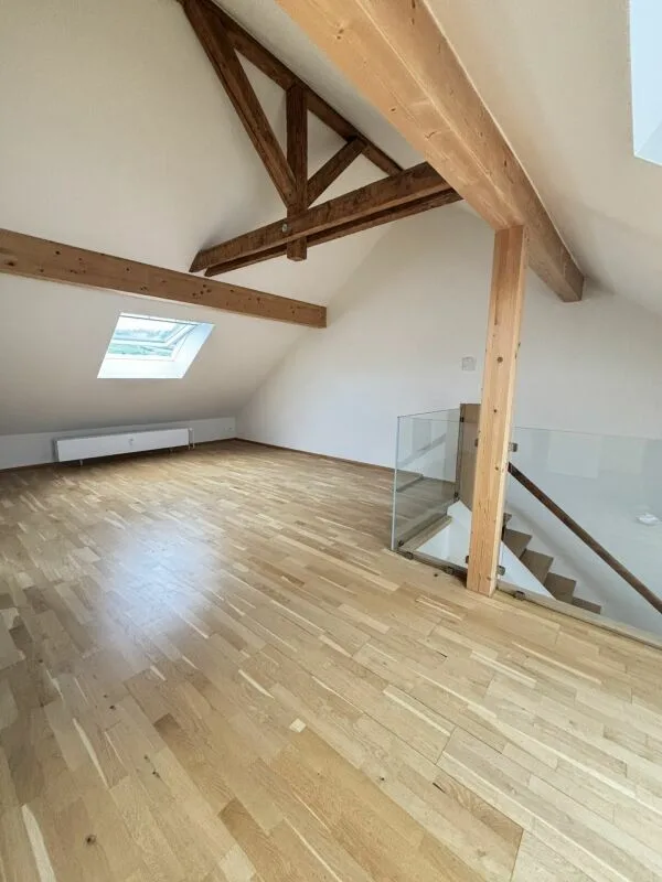 Geräumige moderne 1.5-Zimmer-Loftwohnung