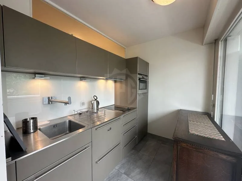 Angenehmes Appartement - Chêne-Bougeries