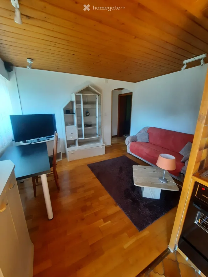 Charmant appartement meublé de 2 pièces avec TV et Internet