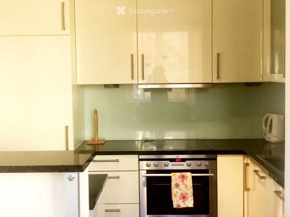 Appartamento arredato bellissimo sul lago di Zurigo