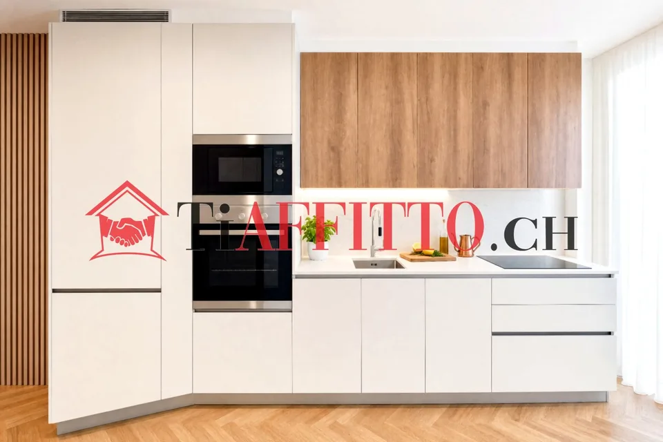 LUSSUOSO LOFT ARREDATO NEL CUORE DI LUGANO