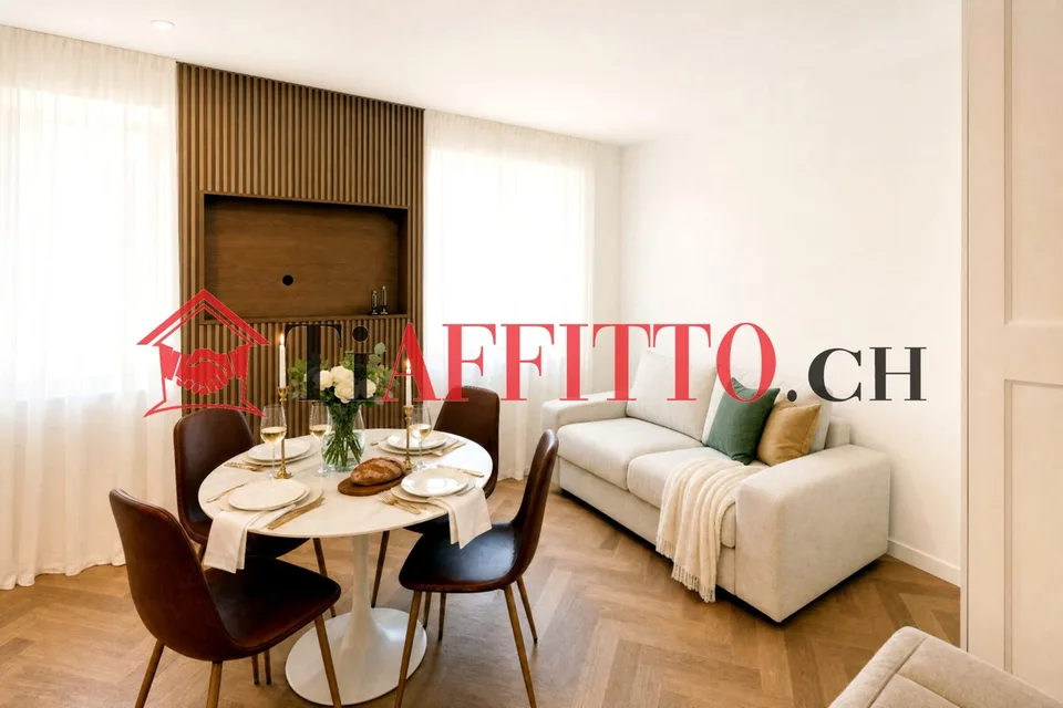 LUSSUOSO LOFT ARREDATO NEL CUORE DI LUGANO