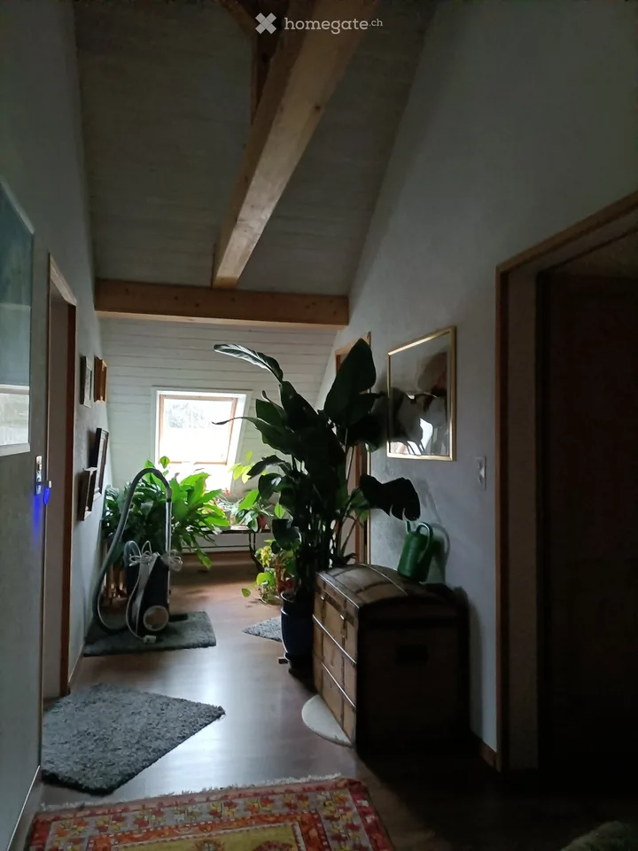 Colocation dans une maison en pleine campagne