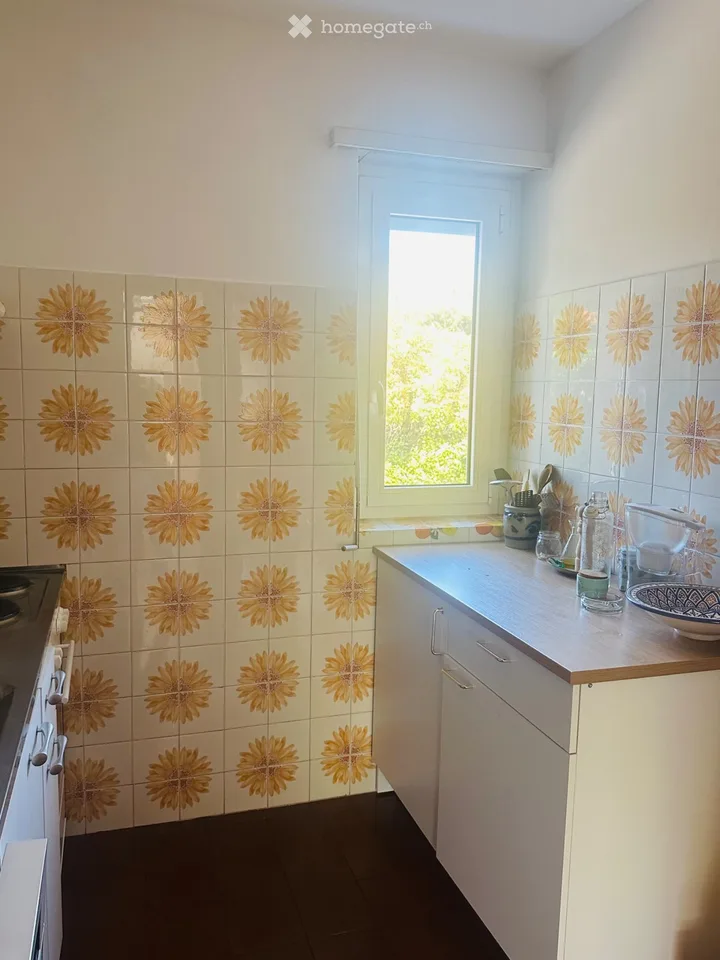 Appartement lumineux 4.5 pièces avec balcon et jardin, Bedano