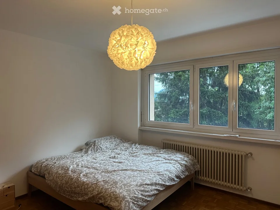Appartement lumineux 4.5 pièces avec balcon et jardin, Bedano