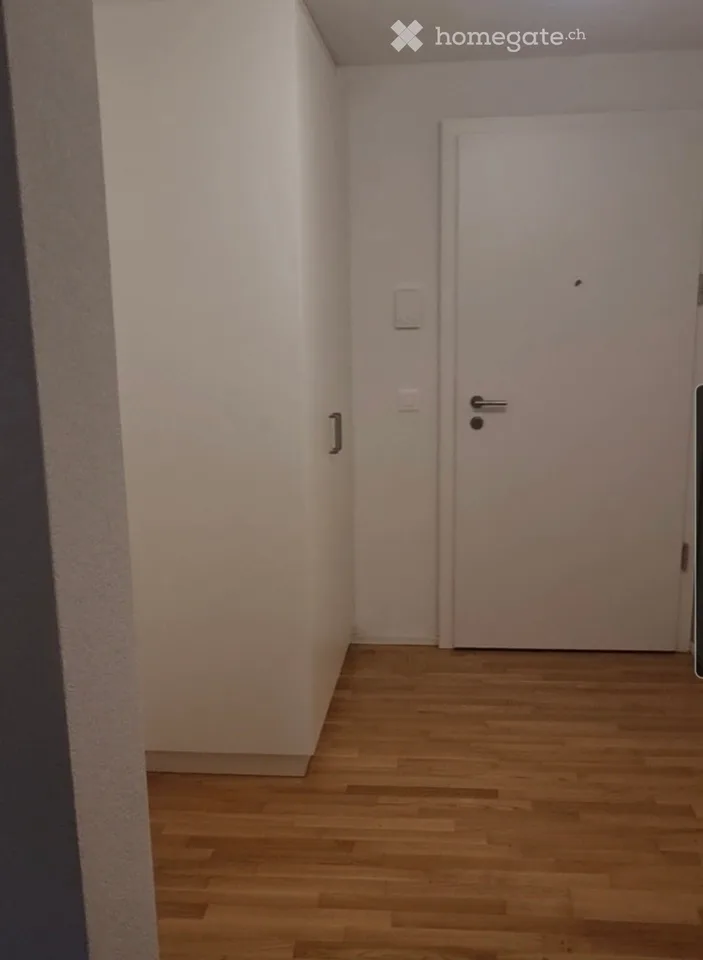 Apartment 4.5 rooms with lawn
