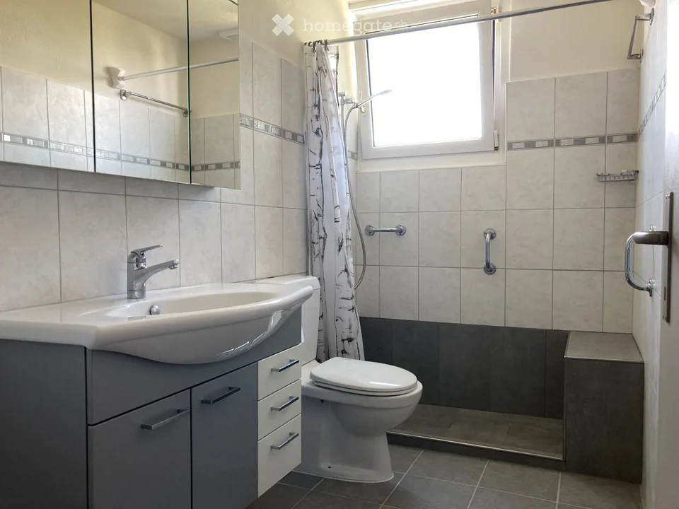 5,5-Zimmer-Haus mit Umschwung