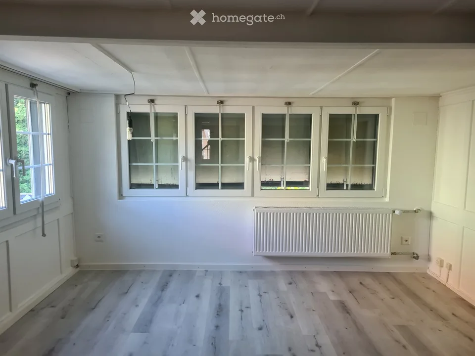 House with workshop/hobby room