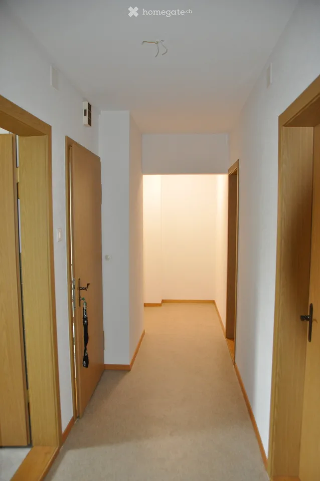 Helle 3-Zimmer-Wohnung mit Balkon und schöner Aussicht in Winterthur