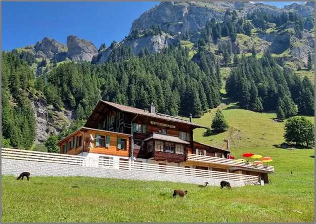 Berggasthaus Golderli – Foto 14 von 14