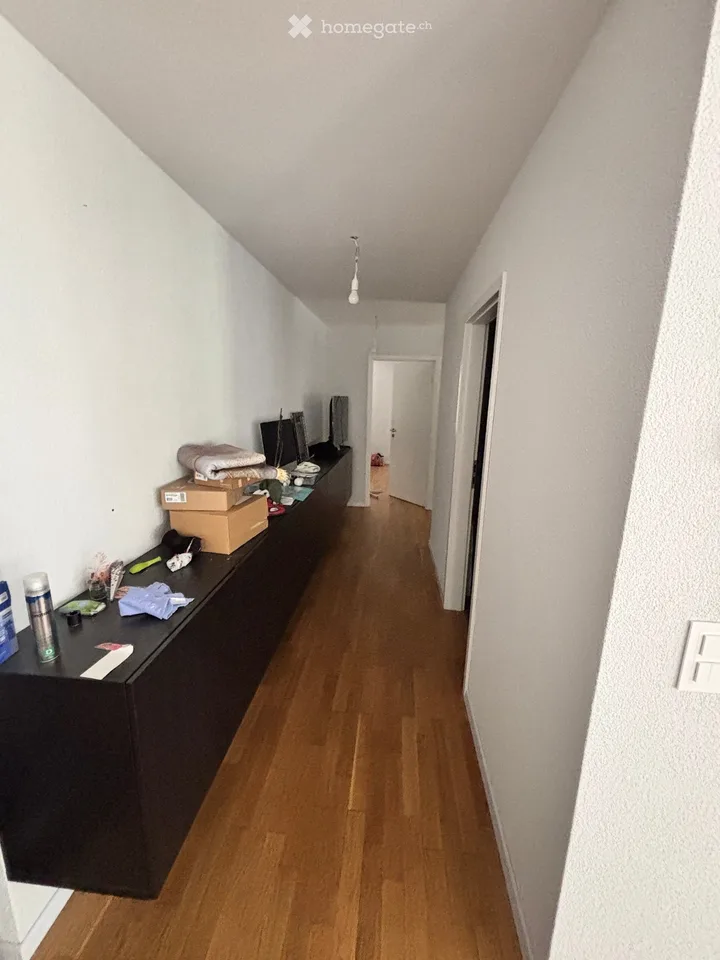 Meraviglioso appartamento di 4,5 locali con balcone