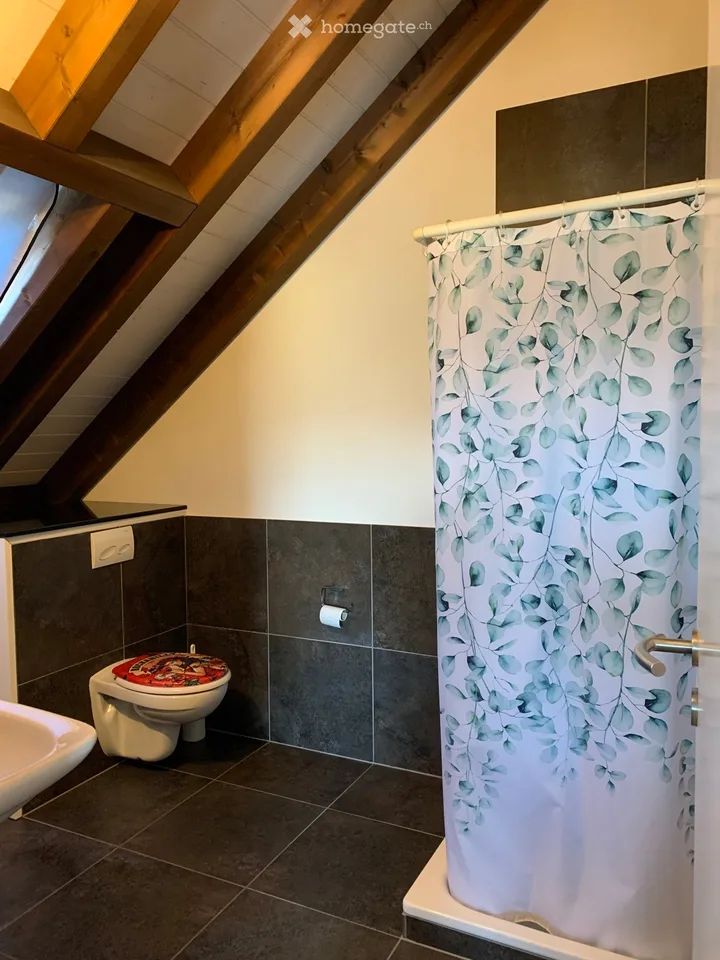 Gemütliche Dachwohnung (64m2) mit Seeblick