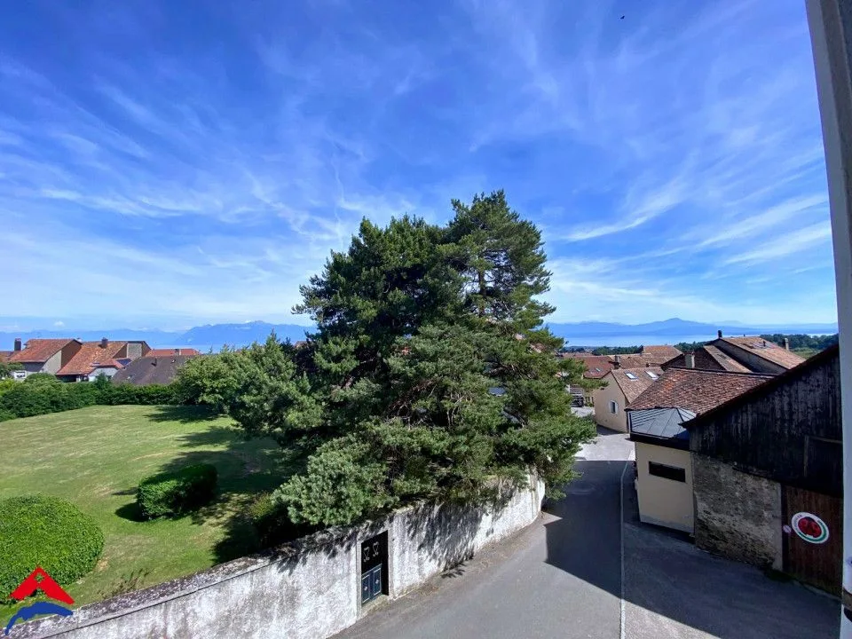 Magnifique 4,5 pièces rénové - Calme - 100m2 environ