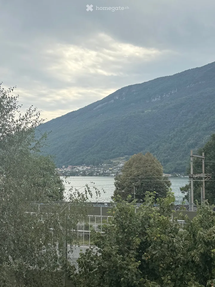 Affittasi - vendesi appartamento vista lago