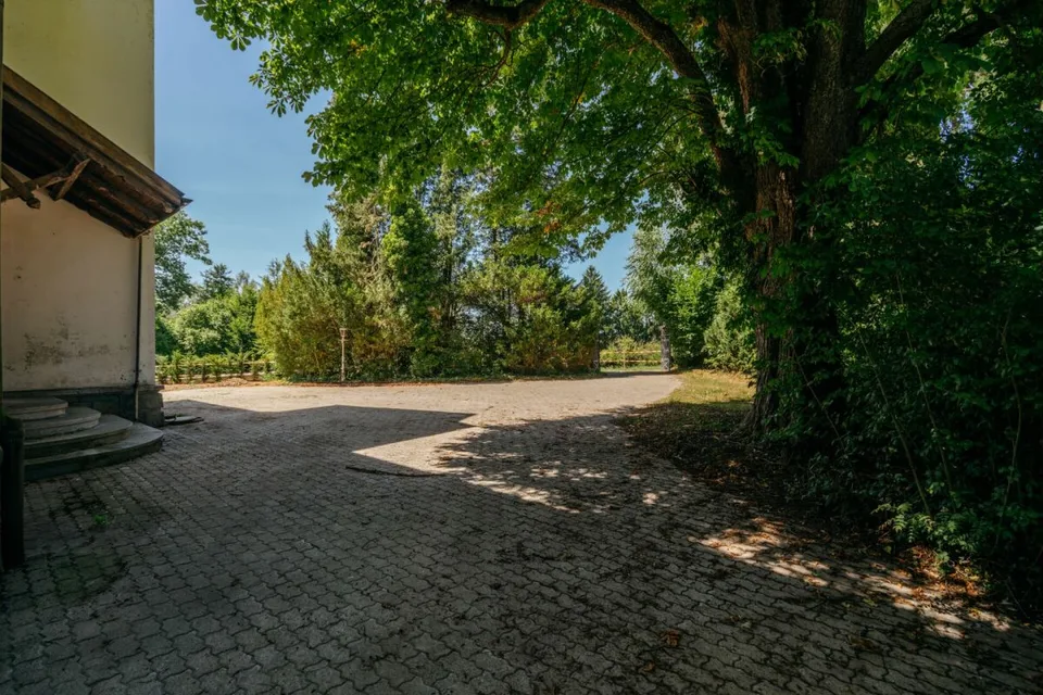 Villa Dreifuss - Wo Geschichte ein neues Kapitel schreibt