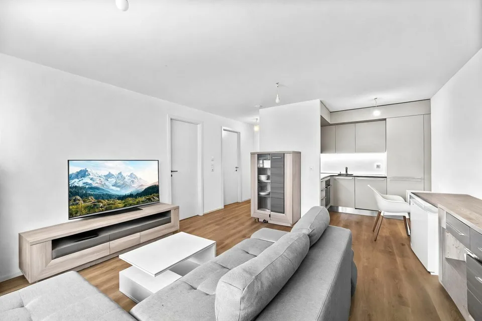 2.5 pièces moderne dans une PPE récente