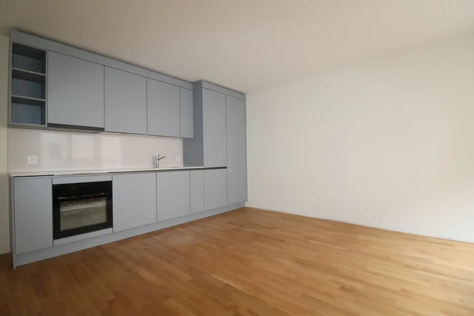 Location pour la première fois après rénovation - Appartement 2 ½ pièces à Gundeli (près de la gare SBB)