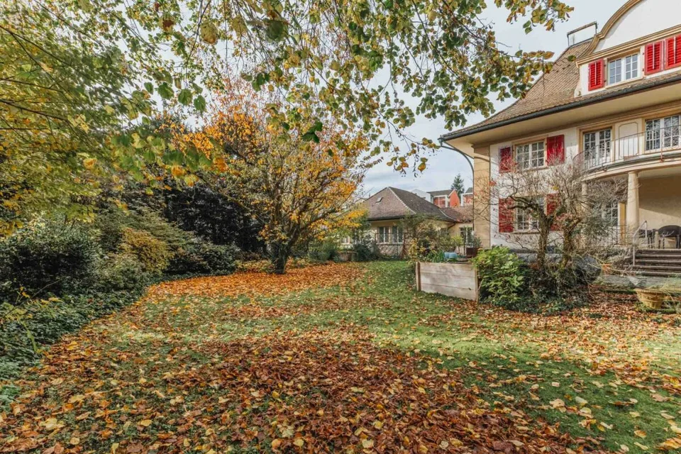 Wohn- und Geschäftshaus – Foto 6 von 30