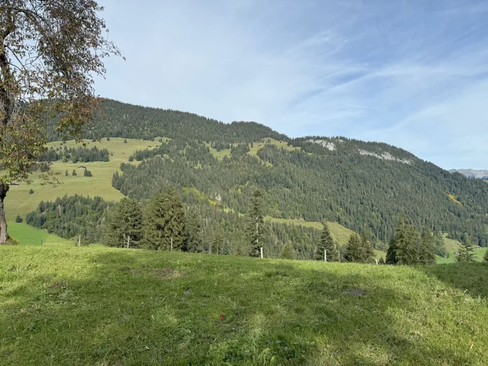 Terrain à bâtir dans un endroit ensoleillé et pittoresque à Zweisimmen (Rinderberg)