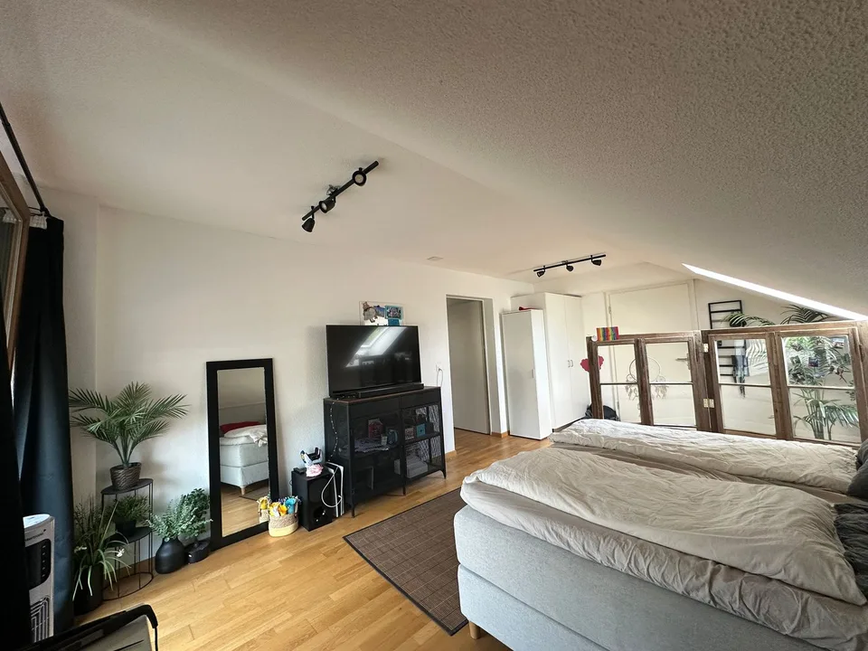 Appartement spacieux avec charme de ferme