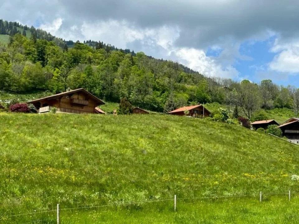 B0 - Neues 3.5-Zimmer-Apartment im Erdgeschoss, in Sciernes d'Albeuve – Foto 6 von 11