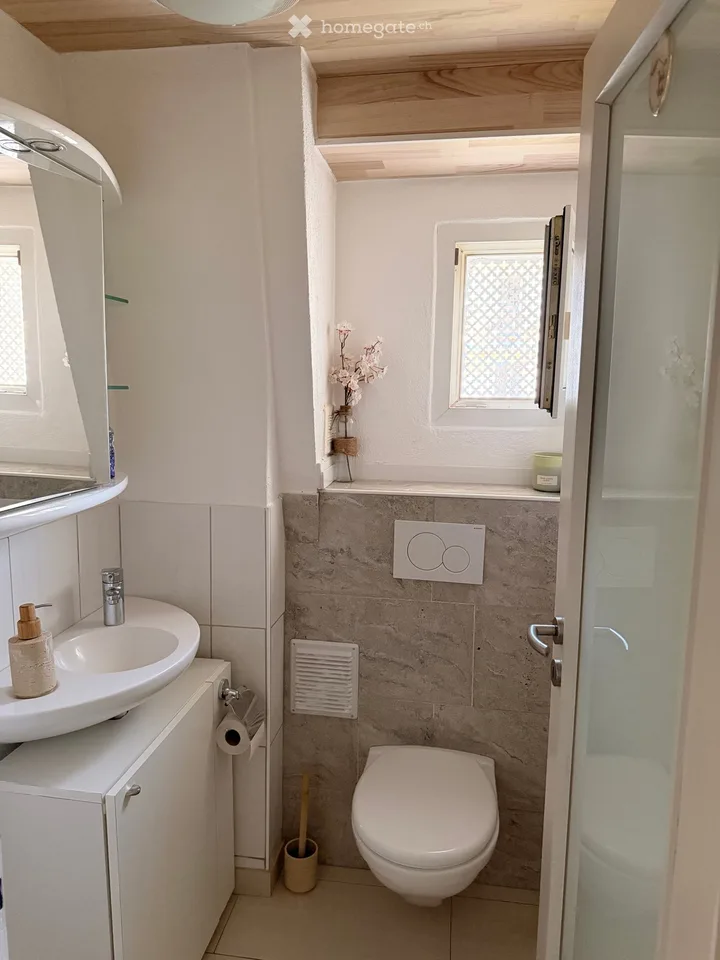 Wohnung 4,5 Zimmer zur Miete von 140m2