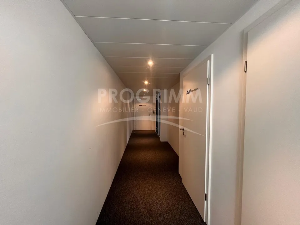 Sektion Jonktion - Superbe Büros von 100m2 - 3. Etage - Hell und klimatisiert - Parkplätze optional.